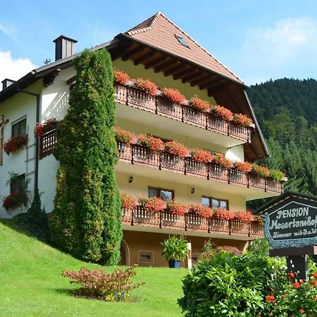 Mosertonihof Alloggio in famiglia