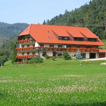 Alloggio in famiglia Mosertonihof Elzach