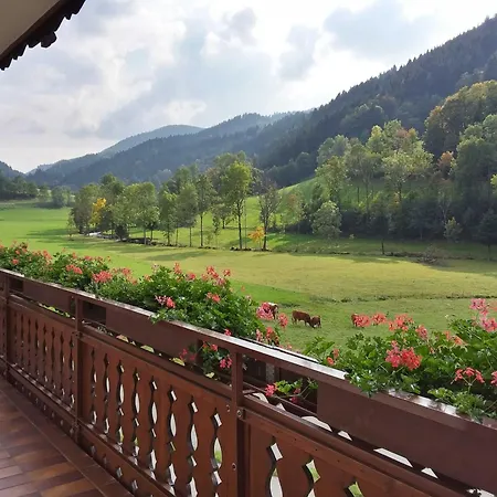 Habitación en casa particular Mosertonihof Elzach