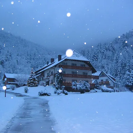 Mosertonihof Homestay szállás Elzach