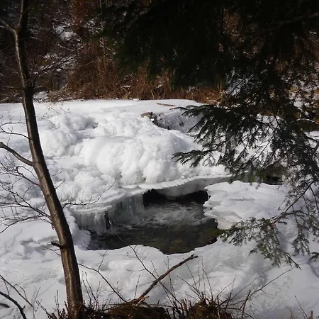 Mosertonihof Elzach