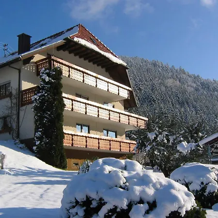Mosertonihof Habitación en casa particular Elzach