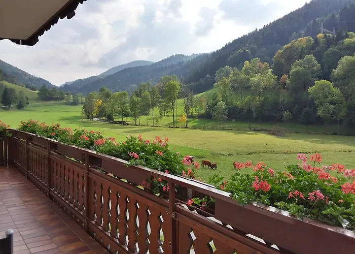 Ubytování v soukromí Mosertonihof Elzach