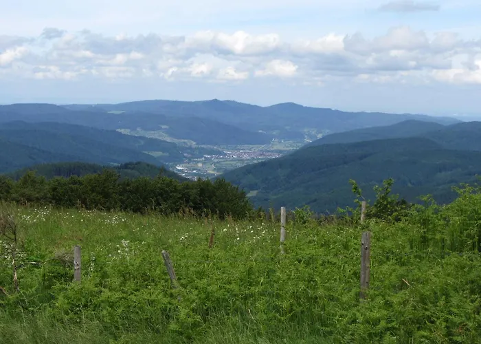 Mosertonihof Проживание в семье *