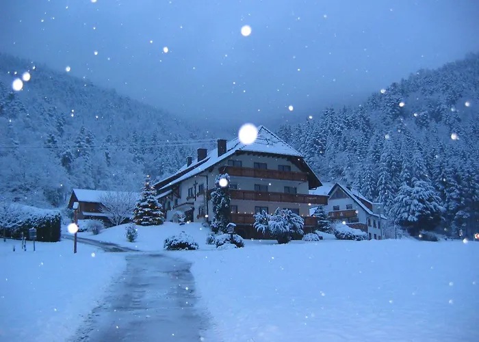 Mosertonihof Ubytování v soukromí Elzach