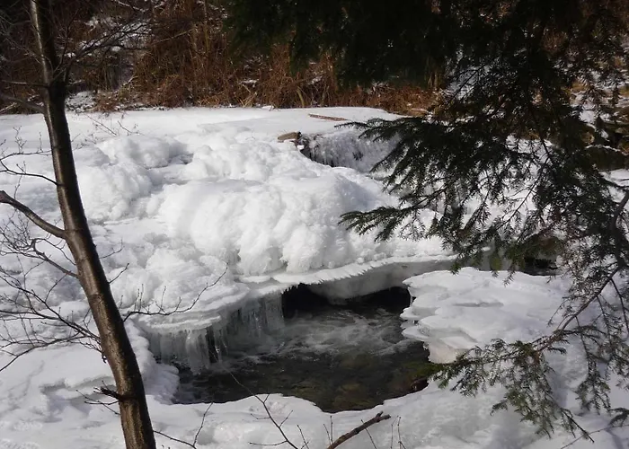 Mosertonihof Эльцах