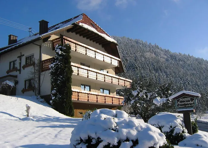 Mosertonihof Ubytování v soukromí Elzach